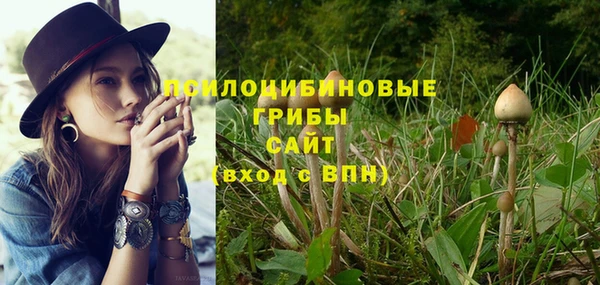 ALPHA-PVP Новокубанск