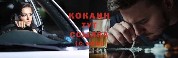 соль ск Алексеевка