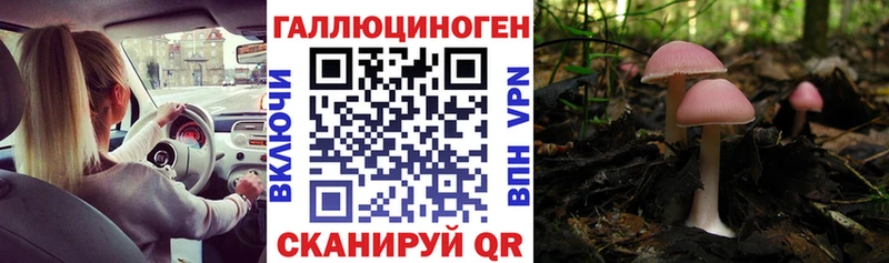 где купить наркоту  кракен вход  Псилоцибиновые грибы мицелий  Бежецк 
